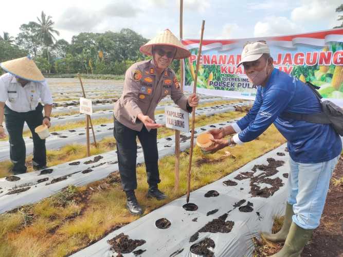 Sinergi Lintas Sektor, Polsek Pulau Burung dan PT RSUP Manfaatkan Lahan Produktif