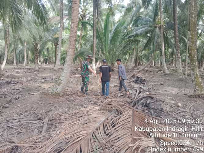 Patroli Pencegahan Karhutla Menjadi Pelaksanaan Tugas Lapangan Babinsa Koramil 12/Batang Tuaka