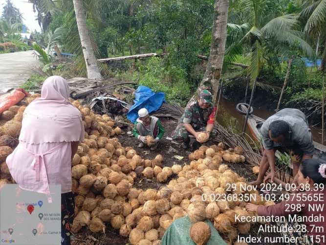 Babinsa Bolak Raya Memantau Stabilitas Harga Kelapa