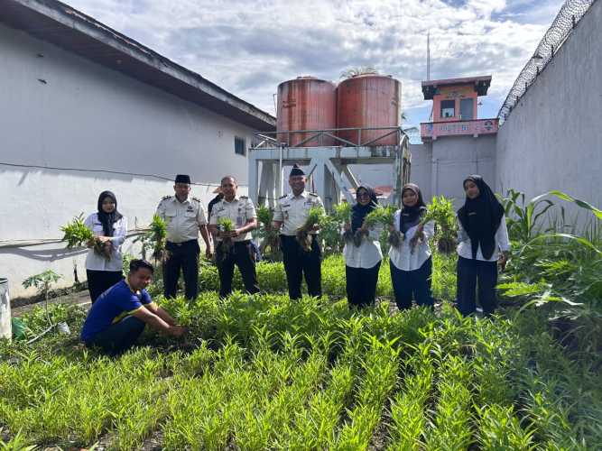 Ketahanan Pangan Berkelanjutan, Lapas Tembilahan Kembali Panen Kangkung 40 Kg