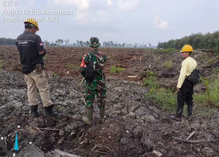 Kopda Ridho  Babinsa Koramil 05/Gas Kodim 0314/Inhil Melaksanakan Patroli di Areal Penanaman Akasia