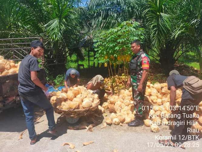 Babinsa Koordinasi dengan Pelaku Usaha Perkebunan