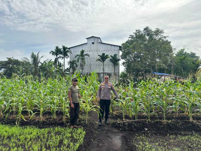Kapolsek Pulau Burung Laksanakan Kontroling Jelang Masa Panen