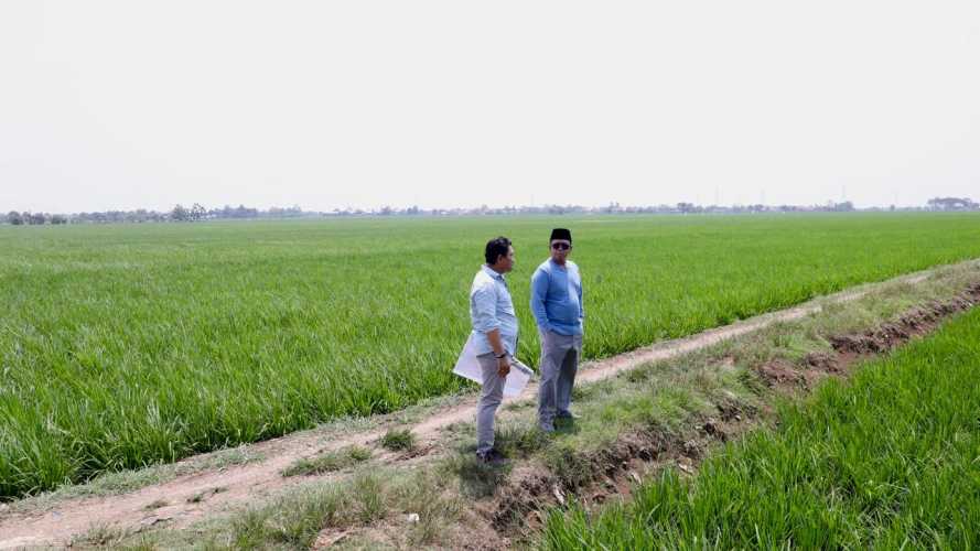 Tinjau Kawasan Industri di Indramayu, Menteri Nusron Pastikan Lahan Tidak Masuk ke LSD