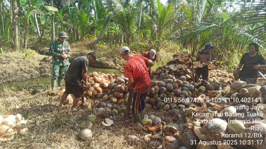 Babinsa Koramil 12/Batang Tuaka Gencar Sosialisasi Larangan Membakar Lahan kepada Masyarakat Desa Simpang Jaya