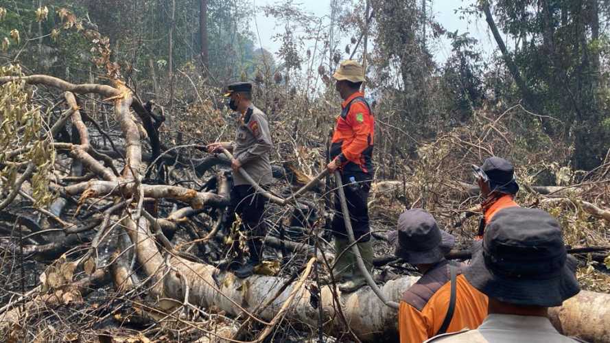 Dengan Sigap Kapolres Inhil Turun Pimpin Pemadaman Karhutla