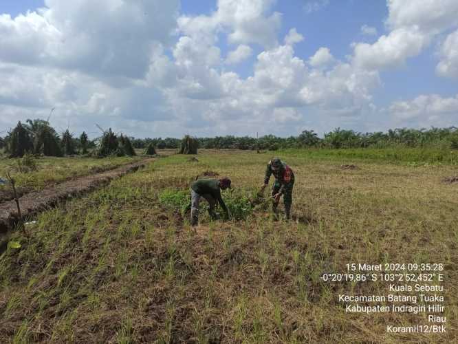 Serka Hepi Martison Kejar Progress Pisik Ketahanan Pangan