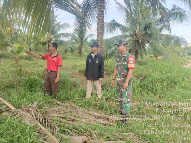 Babinsa Koramil 11/PBR Gencar Patroli Tapal Batas, Jaga Kamtibmas dan Antisipasi Gejolak Sosial