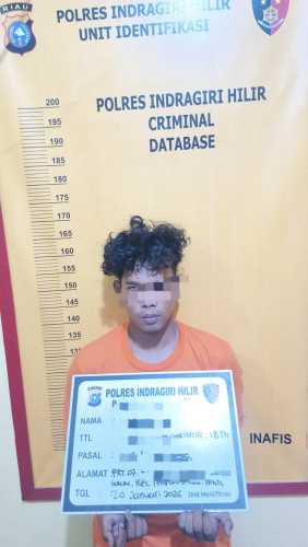 Polsek Tempuling Ungkap Kasus Pencurian di Kebun Sawit, Pelaku Berhasil Diamankan