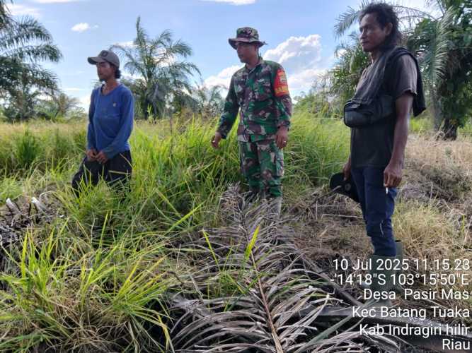Dengan Patroli,  Babinsa Koramil 12/Batang Tuaka  Mencegah Deforestasi