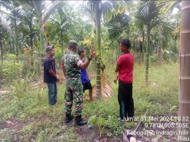 Babinsa Pulau Burung Lakukan Pengawasan Karhutlah di  Desa Ringin Jaya