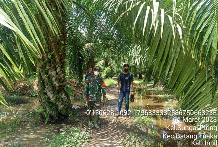 Babinsa Tebarkan Pencegahan Karhutlah