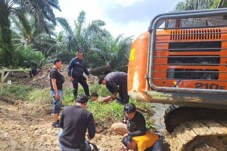 Polres Inhu Ungkap Penggarapan Hutan Ilegal, Tiga Tersangka Ditangkap