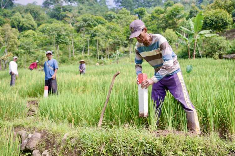 Pasang Patok, Cara Sederhana Cegah Sengketa Tanah dengan Tetangga