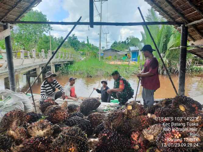 Sertu Syamsir Lakukan Kunjung ke Pengepul Sawit