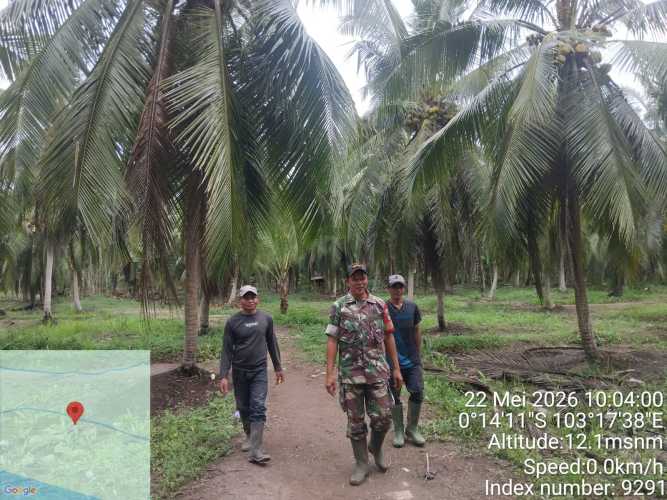 Turun ke Lapangan,Babinsa Sungai Piring Pastikan Patok Batas Tetap Kokoh