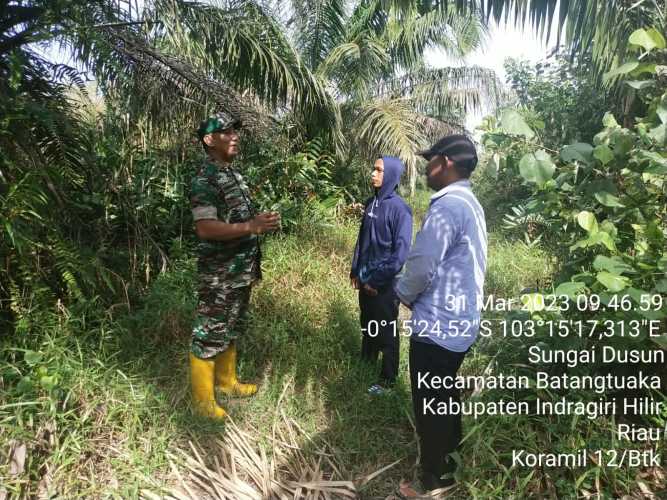 Babinsa  Respon Cepat  Laporan Karhutlah Warga