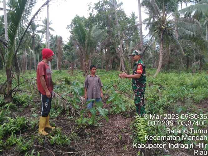 Kembalikan Wilayah Bebas Karhutlah,Babinsa Lakukan Monitoring dan Pengawasan