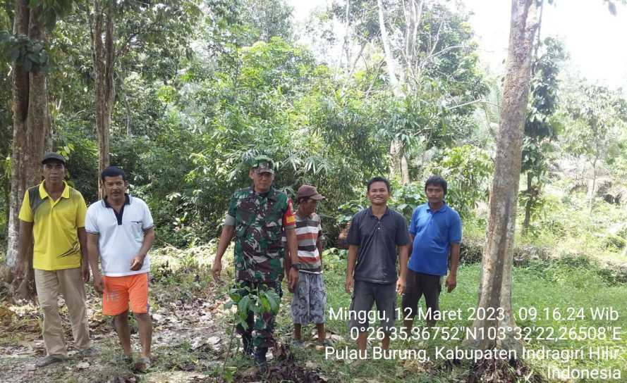 Serda Arlansyah Lakukan Pengawasan Hutan Lindung