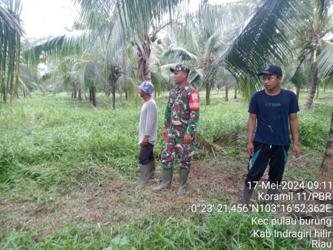 Babinsa Pulau Burung Kuatkan Jaring Karhutlah