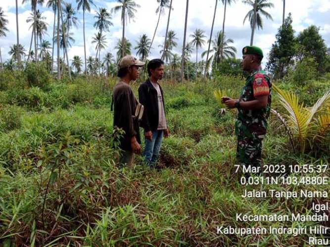 Babinsa Terus Polakan Penanganan Karhutlah Lebih Intens