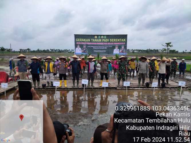 Koramil 12/Batang Tuaka Sukseskan Gerakan Tanam Serentak