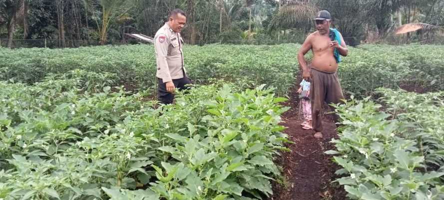 Polsek Pulau Burung Wujudkan Program Asta Cita Ketahanan Pangan di Wilayah Hukumnya