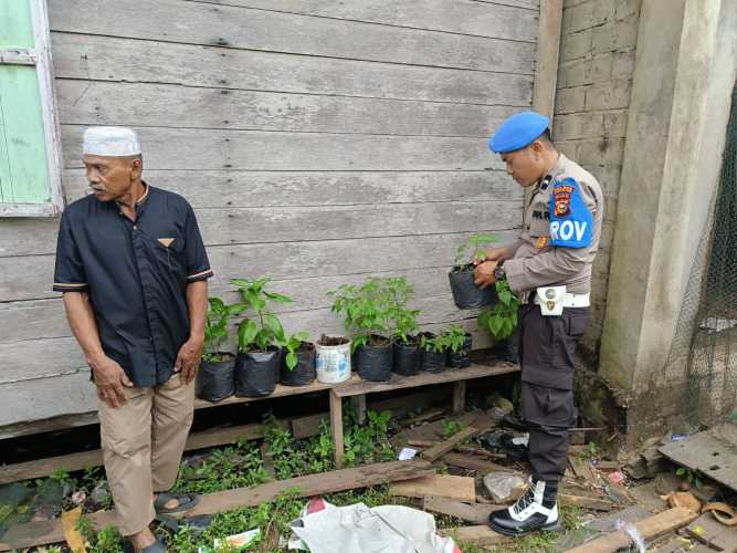 Personil Polsek Enok Bangun Basis Ketahanan Pangan Lewat Pekarangan Rumah