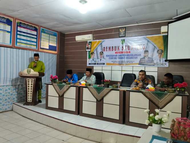 Camat Tembilahan Hulu Dorong Kolaborasi Lintas Sektor dalam Rembuk Stunting Tingkat Kecamatan