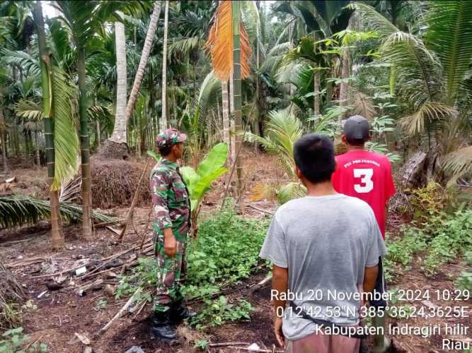 Babinsa Ringin Jaya Lakukan Patroli Penjajakan Wilayah Rawan Karhutlah