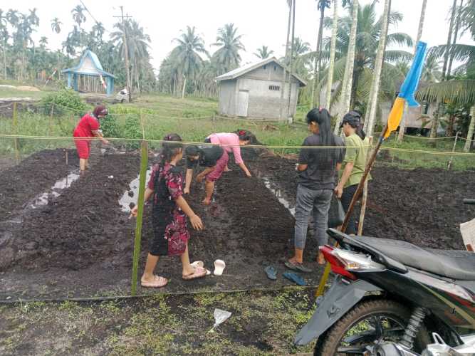 Desa Sri Danai Gerakkan Tanaman Gizi untuk Cegah Stunting