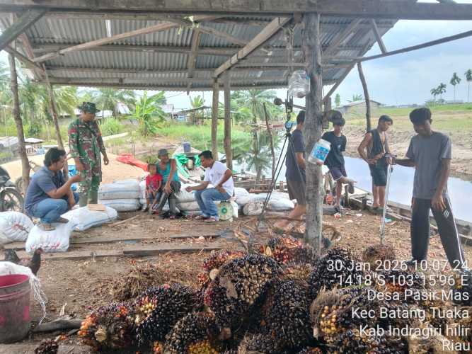 Babinsa Pasir Mas Tekankan Keselamatan Kerja Buruh dan Petani