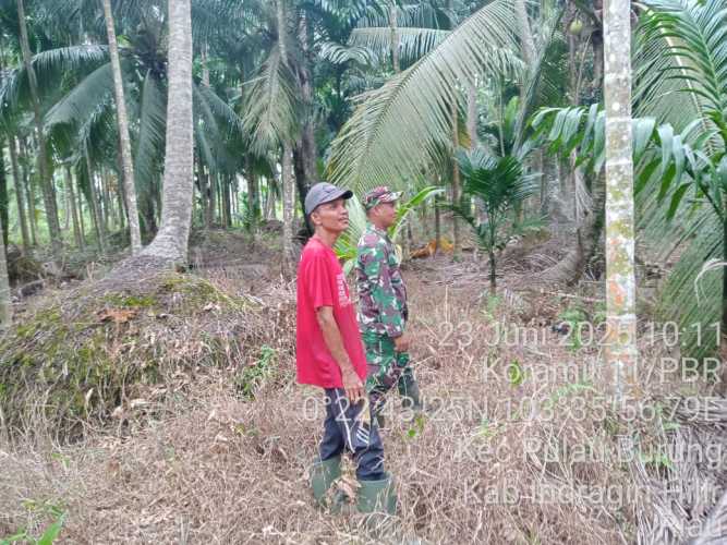 Babinsa Koramil 11/Pulau Burung Edukasi Petani tentang Pencegahan Karhutla