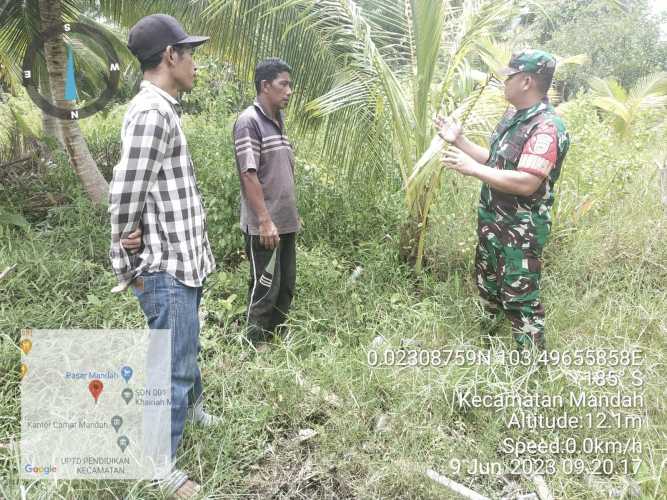 Babinsa Sosialisasi  Bahaya Karhutlah di Lahan Warga