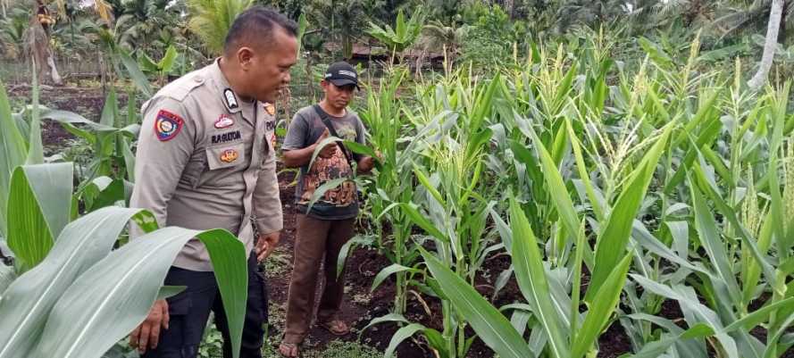 Guna Mendukung Program Asta Cita Presiden, Polsek Pulau Burung Gelar Sambang Ketahanan Pangan