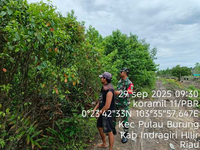 Babinsa Koramil 11/PBR Laksanakan Patroli Cegah Konflik Agraria di Pulau Burung