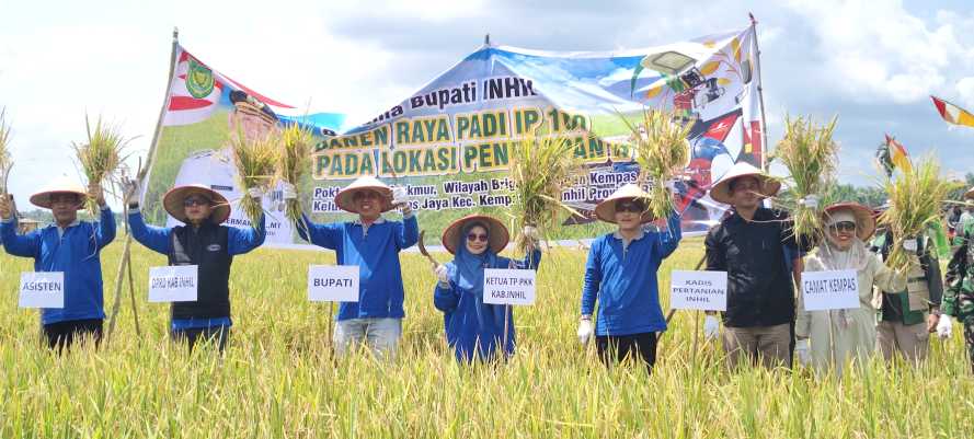 Kadistan Inhil Dampingi Bupati Herman Panen Raya Padi IP 300 di Kempas Jaya