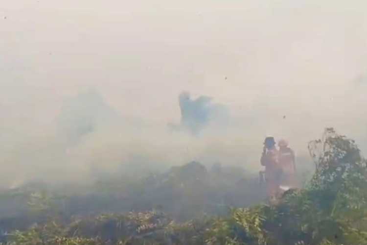 Melawan Angin, Menjinakkan Bara: Detik-Detik Menegangkan di Hutan Pematang Pudu