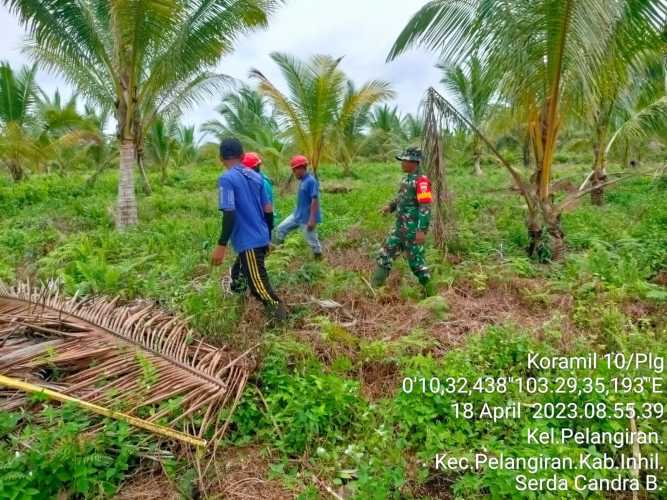 Babinsa Atasi Karhutlah di Lahan Perkebunan Masyarakat