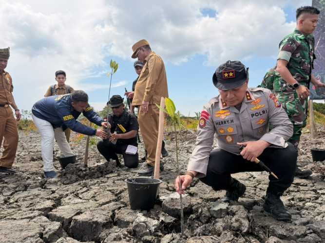 Usai Buka Kasus Perambahan, Polda Riau Pulihkan 118 Hektare Hutan Mangrove di Rokan Hilir