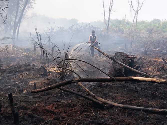 Bupati Siak Tegaskan Asap Karhutla Masuk Permukiman Tanpa Batas Wilayah