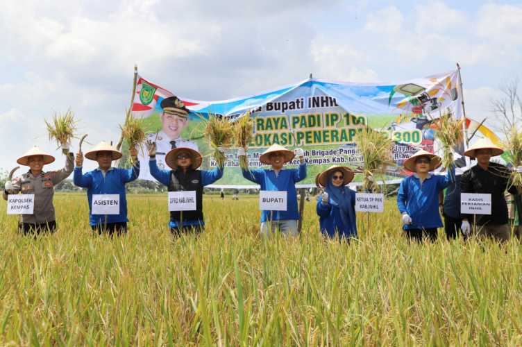 Panen Raya Padi Perdana IP 100 di Kempas, Bupati H. Herman Pastikan Keberpihakan Pemerintah Kepada sekror pertanian