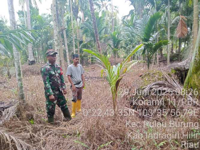 Babinsa Koramil 11/Pulau Burung  Aktif Sosialisasi Pencegahan Karhutla untuk Jaga Kelestarian Ekosistem