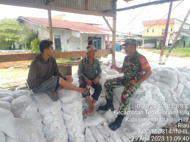 Babinsa Sialang Cek Lumbung Lumbung Padi Masyarakat