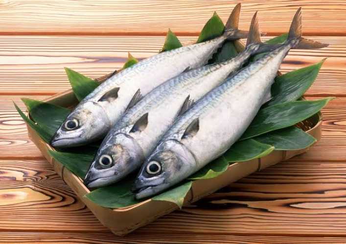 Dinkes Inhil Sarankan Pentingnya Konsumsi Ikan Dalam Memenuhi Gizi dan Protein