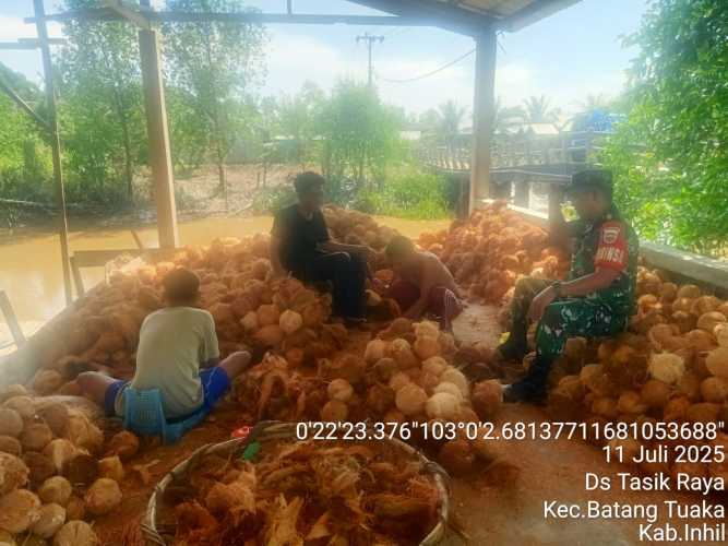 Babinsa Koramil 12/Batang Tuaka  memantau perkembangan harga kelapa dan kesejahteraan petani di wilayah binaannya