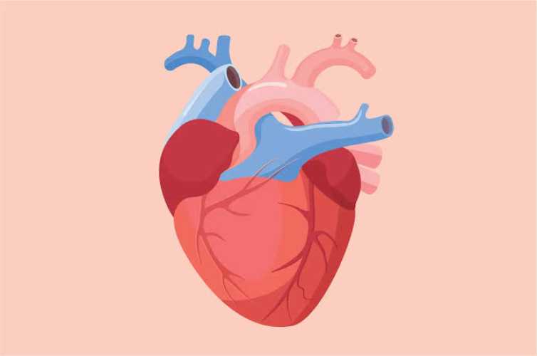 Kadiskes Inhil Jelaskan Cara Menjaga Fungsi Jantung yang Optimal