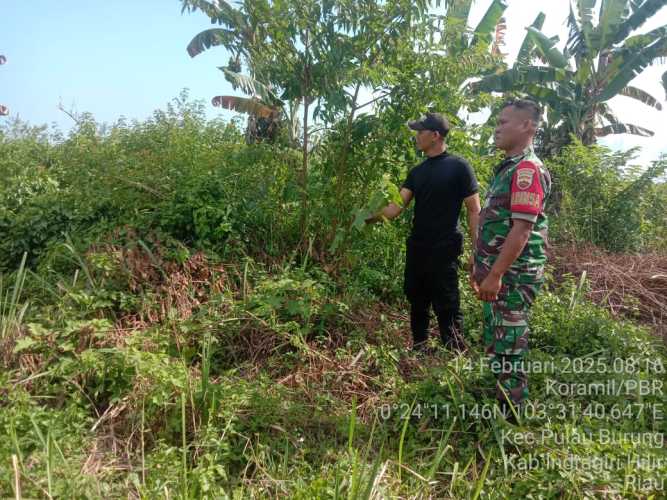 Totalitas Babinsa Pulau Burung dalam Menjaga Wilayah dari Karhutlah