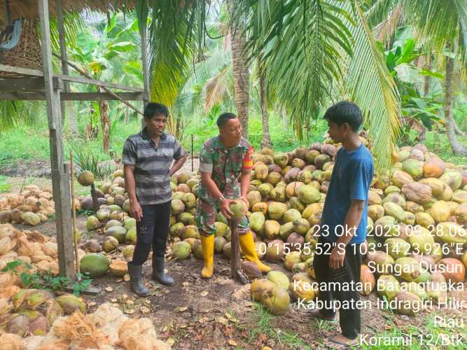 Serda Pernando Memberikan Penyuluhan Terpadu Kepada Petani Kelapa