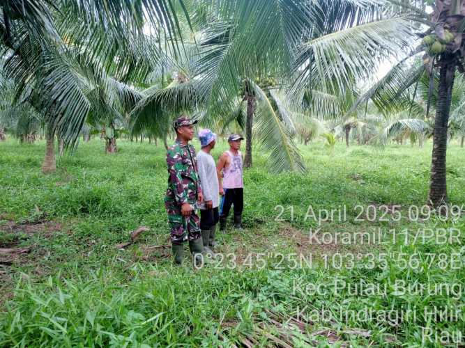 Babinsa Koramil 11/Pulau Burung Lakukan Patroli Pengawasan Karhutla Terpadu di Desa Pulau Burung